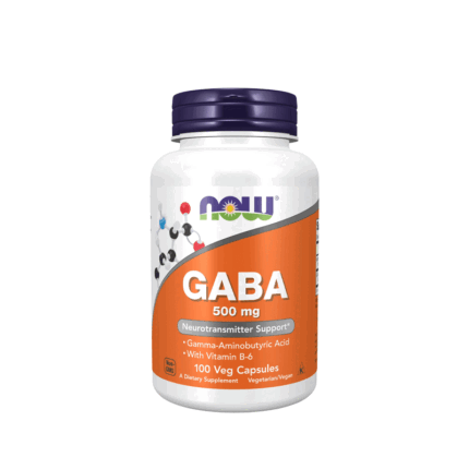 Now Foods GABA 500 mg 100 Veg Capsules