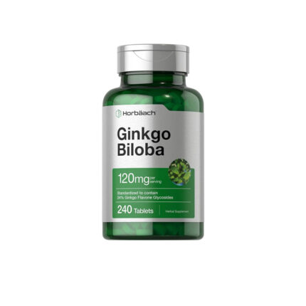 Ginkgo Biloba 120mg per serving 240 Tablets